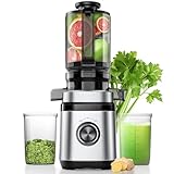 Entsafter, Slow Juicer, Entsafter Gemüse und Obst Testsieger mit | 350W DC-Ultrasilent-Motor | 110MM Einfüllöffnung | 2 Tassen | Saftpresse Elektrisch,Silber