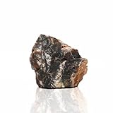 Amtra - Versteinerter Stein, Aquariendekoration, natürlich, kein Kalkstein, 0,5 KG