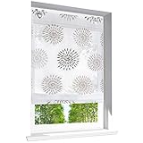 BAILEY JO Raffrollo mit Kreis-Motiven Druck Design Rollos Voile Transparent Vorhang (BxH 80x140cm, Braun mit U-Haken)