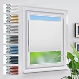 Grandekor Verdunklungsplissee Wabenplissee ohne Bohren Weiß-Weiß 40x100cm (BxH) Klemmfix Plissee ohne Bohren Verdunkelung Thermo Rollo Wärmedämmung, Privatsphäre - & Sonnenschutz