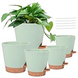 GWCYMYD 5 Stück Selbstbewässerungstopf 12,7/13,8/15,2/16,5/17,8cm Blumentopf mit Bewässerungssystem Saugfähige Tampons Abflusslöcher Kräutertopf Selbstbewässernd für Orchideen Kakteen Sukkulenten