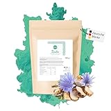 Nutritec hochreines Inulin Pulver aus belgischer Chicoree-Wurzel, pflanzlicher Ballaststoff, hochdosiert, Präbiotitka, Probio, vegan, ohne Zusatzstoffe, mit extra Messlöffel (1 kg)