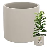 KOTARBAU® Blumentopf Keramik groß Zylinder Ethno ⌀ 20 cm Höhe 20 cm 1 St. Blumenübertopf Keramik Blumentopf Betonoptik kleine Übertöpfe Keramiktopf Pflanzen