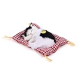 Tnfeeon Simulation Schlafen Plüsch Katze mit niedlichen Klang weiche Matte Bett Schlafen Katze gefüllte Puppe beliebtes für Kinder Kleinkinder (Schwarz Weiß)