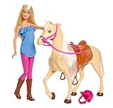 Barbie-Puppe und Pferdespielzeug, Reitzubehör, 1 Puppe und 1 Pferd enthalten, als Geschenk für Kinder ab 3 Jahre geeignet, FXH13