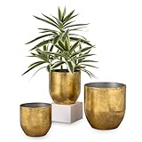 Oairse 3er Set Blumentöpfe aus verzinktem Stahl perfekt für Moderne Dekoration und Pflanztöpfe, Dekorativen Zink Töpfen drinnen und draußen,16.5cm/13.5cm/12cm, Metallgold