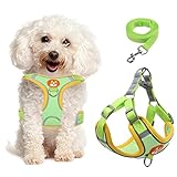 Geschirr Hund Klein Weich Vest Harness Geschirr Verstellbar Sicher Kontrolle Welpengeschirr Weste Brustgeschirr für Katze/Hunde Gehen, Laufen, Training (S, Green)