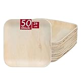 BIODORF Palmblattgeschirr | 50 Teller (24 x 24 cm Quadratisch) | Bio Einweggeschirr biologisch abbaubar Partygeschirr chemiefrei | Einweg Teller Holz | Premium Einwegteller