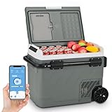 Alpicool 49L Kompressor Kühlbox Elektrisch, Zwei Zonen Kühlschrank Auto Mit APP-Steuerung, Kühlbox 12V 230V Kompressor für Auto, Kühlschrank für Auto, Camping, Fahrten, Boot, -20℃-20℃