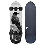 Fireball Mini Cruiser Longboard Skateboard komplett - komplett montiert & fahrbereit 74,9 x 21,6 cm Profi Ahorn Board - Artist Series Limited Edition Cruiser (Viltisvm)