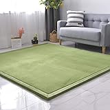 Moderner Korallen-Fleece-Teppich für Wohnzimmer und Kinderzimmer, weich, rutschfest, waschbar, Teppich für Kinderzimmer, 80 x 200 cm, 2 cm dick, dekorative Matte für Jungen und Mädchen