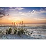 Runa Art Fototapete Strand Sonnenuntergang 352 x 250 cm Vlies Tapeten XXL Moderne Wandtapete Wohnzimmer Schlafzimmer 9588011a