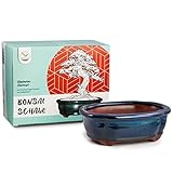 HappySeed Bonsai Schale Keramik (klein) in Marineblau - Bonsai Topf abgerundet für die perfekte Inszenierung Ihres Zimmerbonsais - 15 x 5,5 x 11 cm