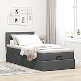Willood Boxspringbett mit Matratze & LEDs Dunkelgrau 100x200 cm Stoff Schlichtes Design