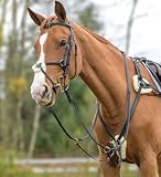 Shires Avignon Vorderzeug mit 5 Spitzen, schwarz, Cob