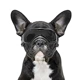 BillionChains Hundebrille mit verstellbarem Riemen, Hundesonnenbrille, UV-Schutz, Winddicht, Hundebrille für Hunde, Schwarz