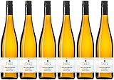 Volk Riesling Hochgewächs 2024 Trocken (6 x 0.75 l)
