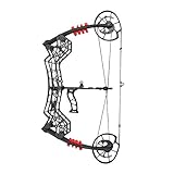 FQH Archery Compound Bow and Arrow Set 30-60 lbs Draw Weight Arrow and Steel Ball Dual Purpose Bow Arrow IBO up to 310fps for Outdoor Hunting Target Archery Shooting Training (Nur Compoundbögen)