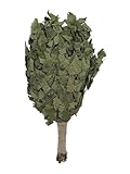 Dufte Momente | 1 x Birken Reisig, Wenik, Quast für Sauna, Banja | aus Ernte 2024 | einzeln verpackt und luftgetrocknet | mehrfach verwendbar ¬| Länge ca. 50-60cm, Gewicht ca. 190g