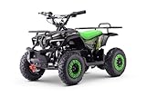 ATV - Mini-Quad für Kinder Beneo Motors Veloci Grün - 800W