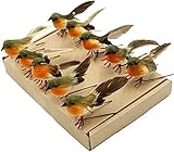 Yolococa „Vogel“ Weihnachtsbaum-Dekoration, Kunsthandwerk, künstliche Federn, Orange, Größe S