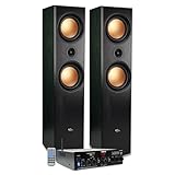 Evidence Acoustics Standlautsprecher HiFi/Heimkino EA-800-PG – 1000 W PMPO + Stereoverstärker 2 x 50 W – USB MP3 SD Bluetooth – FM