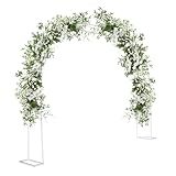 Rosenbogen Aus Metall Stabil [300x220x40cm ] Rankgitter Rosenhilfe Aus Pulverbeschichtetem Stahl, Rankbogen Torbogen Rankhilfe für Kletterpflanzen Und Rosen, Gartenbogen In Grün für Gartendekoration
