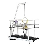 Sport-Thieme Laufband T3500 MED