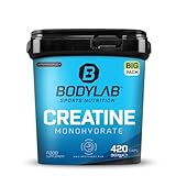 Bodylab24 BIG PACK Creatine Monohydrate 420 Kapseln, mit 3000mg Kreatinmonohydrat je Tagesdosis, reines Pulver, hochdosiertes Kreatin für mehr Energie und Kraft