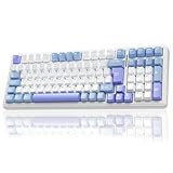 AULA F99 Kabellose Gaming Tastatur Mechanisch,QWERTZ-Layout,BT5.0/2.4G/USB-C,Gasket Struktur,Hot Swap,Software,RGB,PBT Tastenkappen,8000mAh,Creamy Sound,95% Prozent Mechanische Tastatur (Blau Violett)