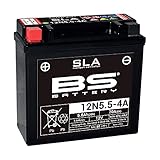 BS Battery 300841 12N5.5-4A AGM SLA Motorrad Batterie, Schwarz