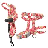 LOLIPPYY Ausbruchsicheres Verstellbares Katzen Geschirr mit Langem Robustem Leinenseil Komfortables Brustgeschirr für Kleine Katzen Sicherer Haustier sicherheitsgurt für Spaziergänge und