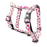 Max & Molly Hundegeschirr in H-Form, Ultrabequemes Geschirr Hund aus Neopren für kleine Hunde, Strawberry Dream/S, Gepolstert, Sicher & Ultraleicht – Komfort für deinen treuen Begleiter