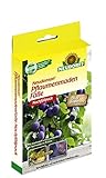 Neudorff Neudomon PflaumenmadenFalle Nachrüst-Set