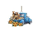 Elektro Deckenheizstrahler Mit Fernbedienung Hund Spiegel Auto Auto Dekoration Hängetöpfe Zink Set (A, One Size)