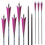 PHILOCS 12 Stück ID 6,2 mm Pure-Carbon-Pfeile, Spine 250 300 350 400 500 600 700 800 Lila Spitz geformte Feder Jagdpfeil, für Bogenschießen (29inch,Spine 300)