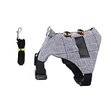 Mikikit 1 Satz Hasenanzug drinnen Kaninchen Hasenleine Bräutigam Zubehör für Haustierhasen geschmeidige Hasenweste Bunny Vest -Geschirr kleine Tierleinen Baumwolle Grey