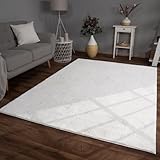 TT Home Wohnzimmer Teppich Hochflor Langflor Kunstfell Weich Modern Unifarben Flauschig, Farbe:Weiß, Größe:120x160 cm