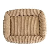 Mateju Hundebett Rechteckig Flauschig, Plüsch Haustierbett Katzenbett Flauschig Warme Hundekissen Strapazierfähig Katzenkissen für Mittelgroße Kleine Hunde Katzen (179 Aprikose,50x40cm)
