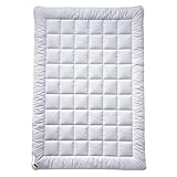 billerbeck Bettdecke E48 Kairo - Ganzjahresdecke – 135 x 200 cm –Decke mit 60 % Kamelhaar 40 % Wolle, Weiß