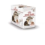 Royal Canin Ageing 12+ in Soße | 12 x 85 g | Alleinfuttermittel für Senior Katzen ab dem 12. Lebensjahr | Kann die Gesundheit der Nieren und Gelenke unterstützen