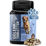 Tierkraft Gelenktabletten für Hunde - Made in Germany - Gelenktabletten mit Grünlippmuschel - Teufelskralle - MSM - 100 Gelenk- & Knochenschutz Tabletten