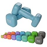 Vinyl Hantel 2er Set Verschiedene Gewichte und Farbe zur Auswahl (Hellblau, 2 x 2,5 kg)