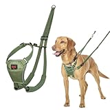 HALTI No Pull Anti-Zug Geschirr - Verhindert, DASS Ihr Hund an der Leine zieht, Gepolsterter Brust- und Beingurt, Reflektierendes Gurtmaterial, Einfache Anpassung und Benutzung (Größe M, Waldgrün)