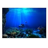 JTKSSCS Aquarium Rückwandfolie Regenwald Aquarium Hintergrund Poster Aquarium Reptil Box PVC 3D Unterwasser Welt Landschaft Bild Dekor Hintergrund Tapete(91x50cm)