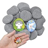 TOKSEO 20 Stück Flache Steine zum Bemalen, 3-5cm Kieselsteine zum Bemalen, Glatte Kieselsteine Garten, Aquarium Dekosteine Naturstein, Flusssteine zum Bemalen