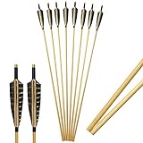 SHARROW 12 Stück Holzpfeile für Bogenschießen 31' Bogenpfeile Fletching 5 Zoll Naturfedern Pfeile Holz in Handarbeit Holz Pfeilschaft für Langbögen Recurve Bögen (Typ 2)