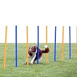 TRIXIE Hunde Agility Set Slalom mit 12 Slalom-Stangen – ideal für das Hunde Agility Training für Anfänger & Fortgeschrittene - Hunde-Agility Ausrüstung für Hunde-Hindernisparcours - 3206