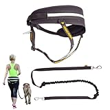 Dingo Multifunktions Lauf-Gürtel+Hundeleine mit Zwei Karabiner Leine mit Ruckdämpfer Schwarz Canicross zum Joggen mit dem Hund Dogtrekking,Skijöring Z30005