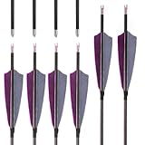 12 Stück ID 4,2 mm Pfeil aus Reinem Kohlenstoff Spine 300 400 500 600 700 800 900 1000 Jagdpfeil, mit 4' Lila Grau Truthahnfeder, für Recurve-Bögen Compound-Bogen Bogenschießen (29inch,Spine 500)
